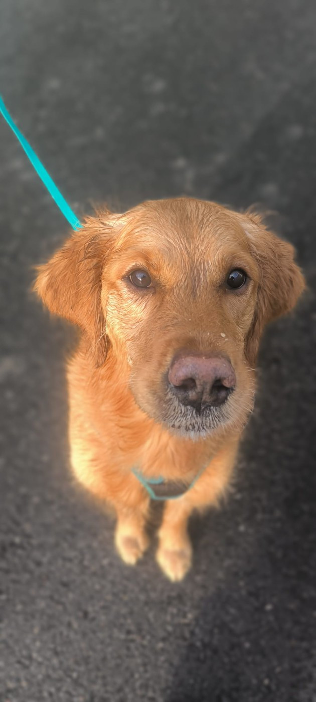 Ukumi des terres de scoubidou