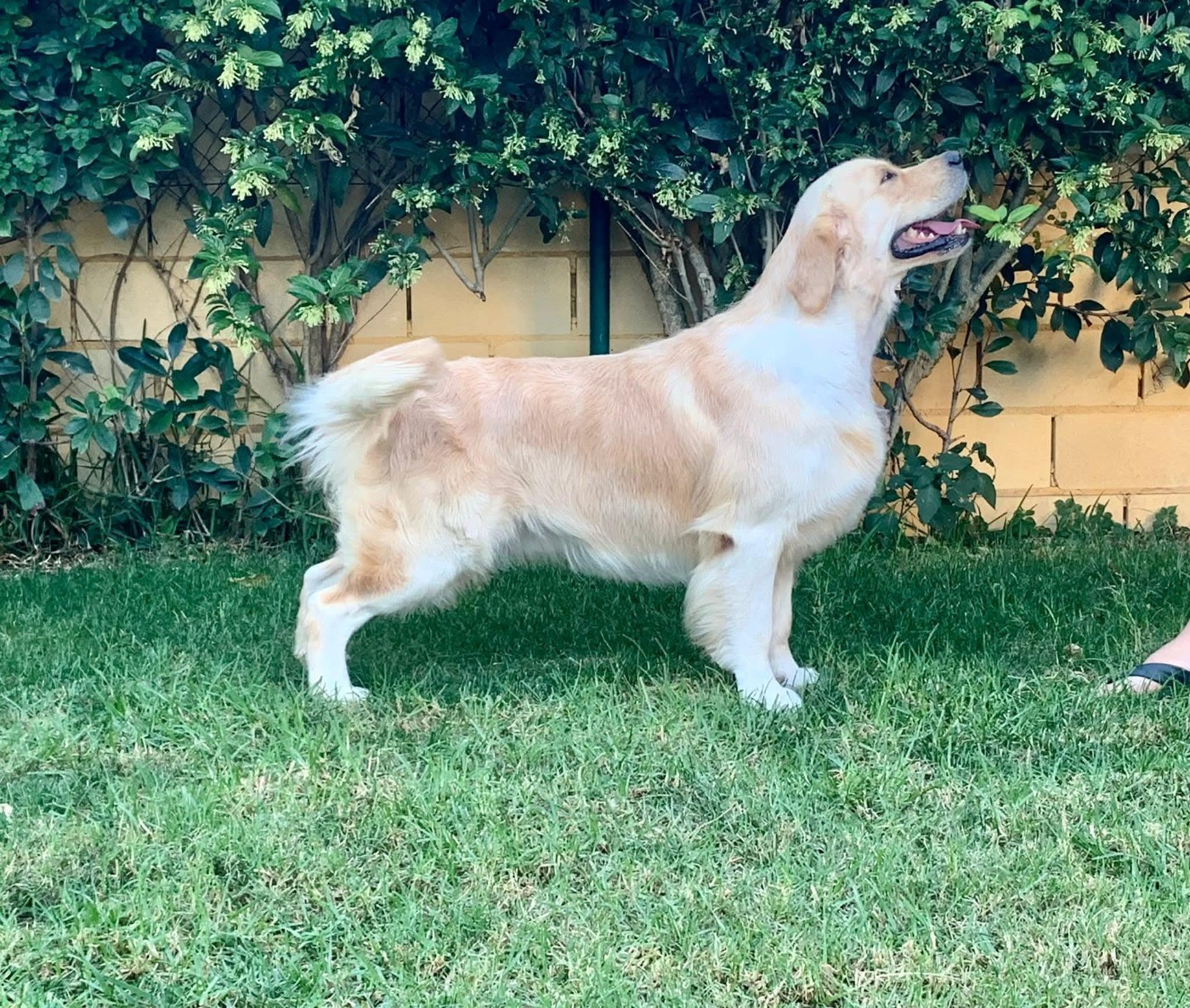 CH. maybe forever Timeless